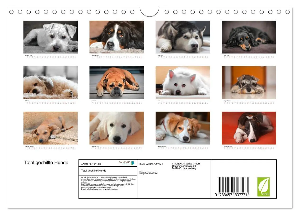 Bild: 9783457307731 | Total gechillte Hunde (Wandkalender 2026 DIN A4 quer), CALVENDO...