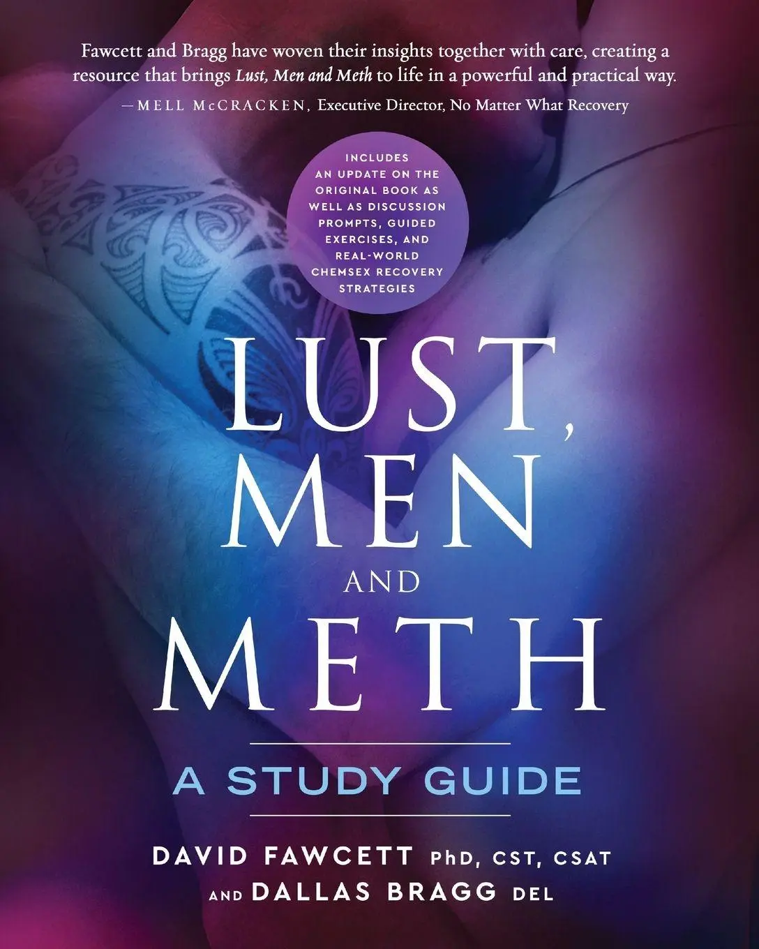 Cover: 9780996257831 | Lust, Men and Meth | A Study Guide | David M Fawcett (u. a.) | Buch