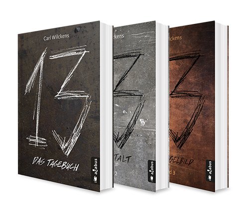 Cover: 9783862827831 | Dreizehn Band 1-3: Das Tagebuch / Die Anstalt / Das Spiegelbild | Buch