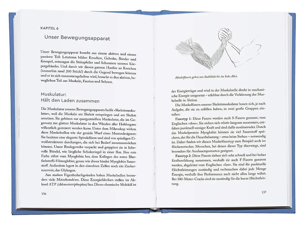 Bild: 9783426278031 | Genial vital! | Yael Adler | Buch | 400 S. | Deutsch | 2023