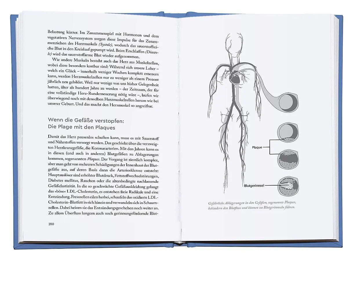 Bild: 9783426278031 | Genial vital! | Yael Adler | Buch | 400 S. | Deutsch | 2023