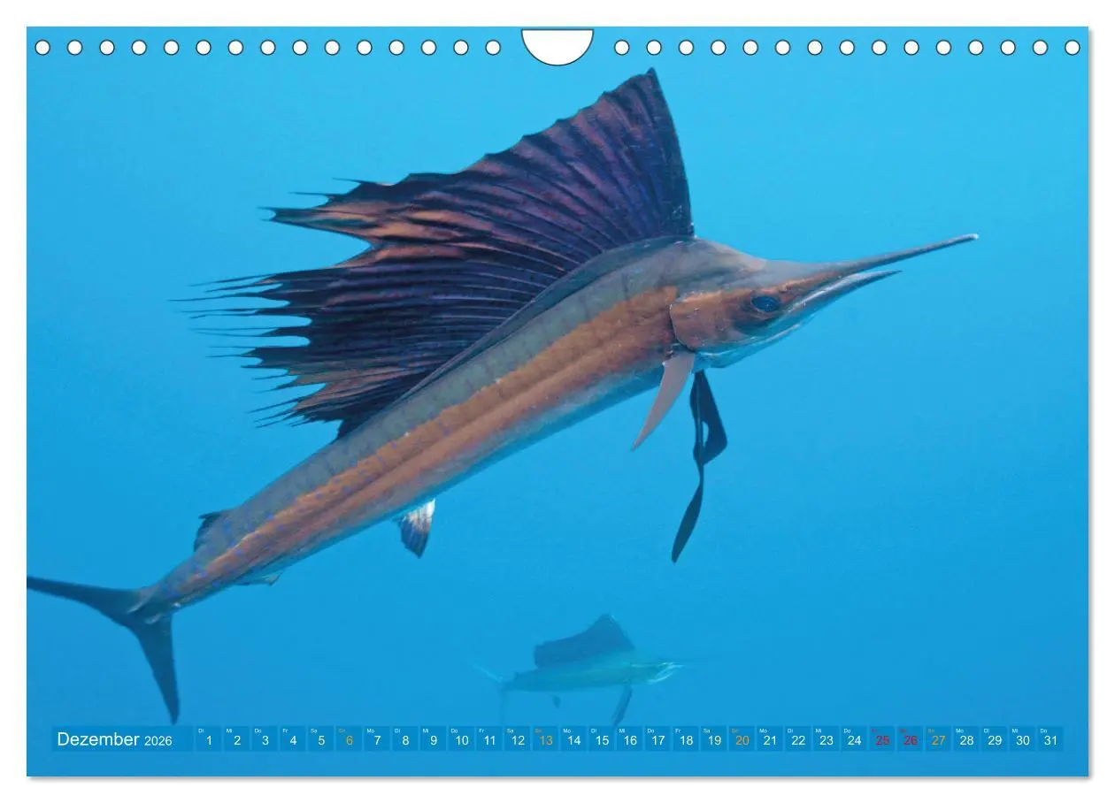 Bild: 9783457348031 | Planet Wasser: Von wegen Planet Erde (Wandkalender 2026 DIN A4...