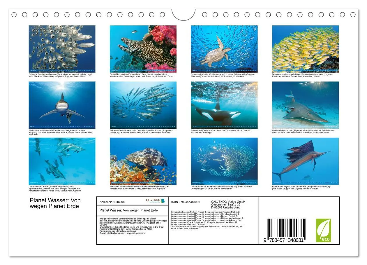Bild: 9783457348031 | Planet Wasser: Von wegen Planet Erde (Wandkalender 2026 DIN A4...