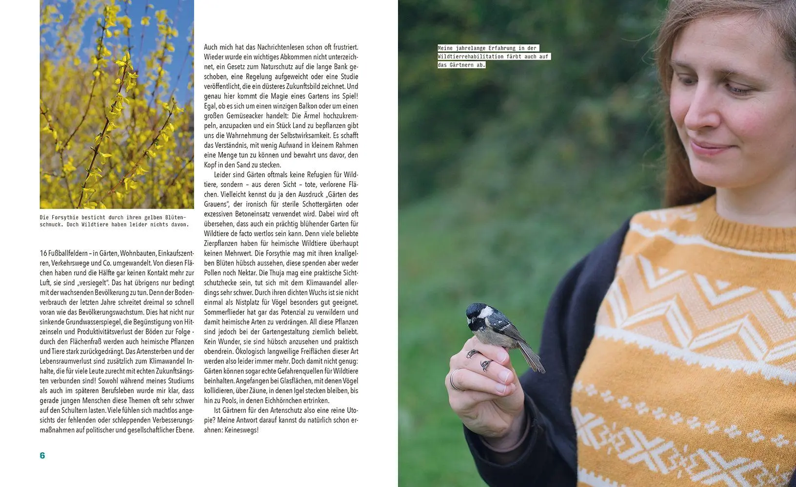 Bild: 9783706688031 | Tierisch viel los! | So wird dein Garten zum Paradies für Wildtiere