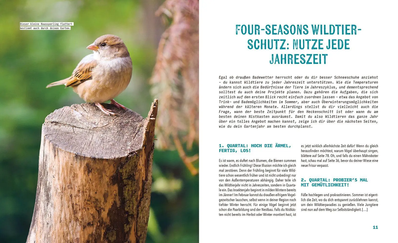 Bild: 9783706688031 | Tierisch viel los! | So wird dein Garten zum Paradies für Wildtiere