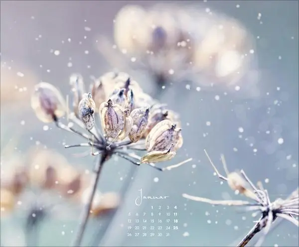 Bild: 9783731888031 | Floral Art 2026 | Korsch Verlag | Kalender | 14 S. | Deutsch | 2026