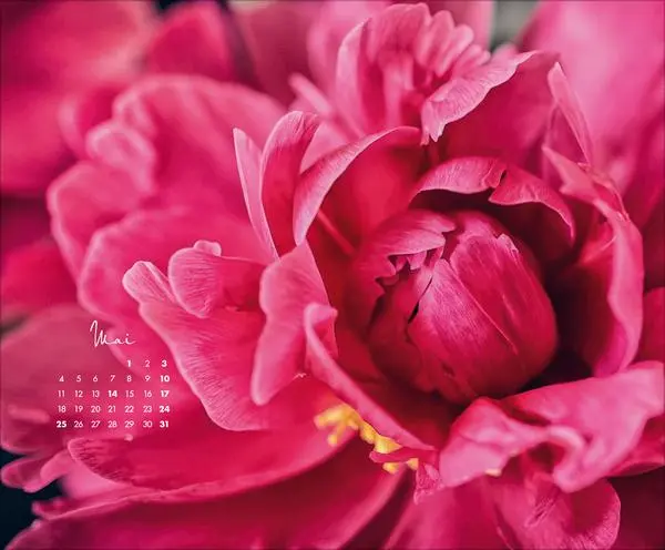 Bild: 9783731888031 | Floral Art 2026 | Korsch Verlag | Kalender | 14 S. | Deutsch | 2026