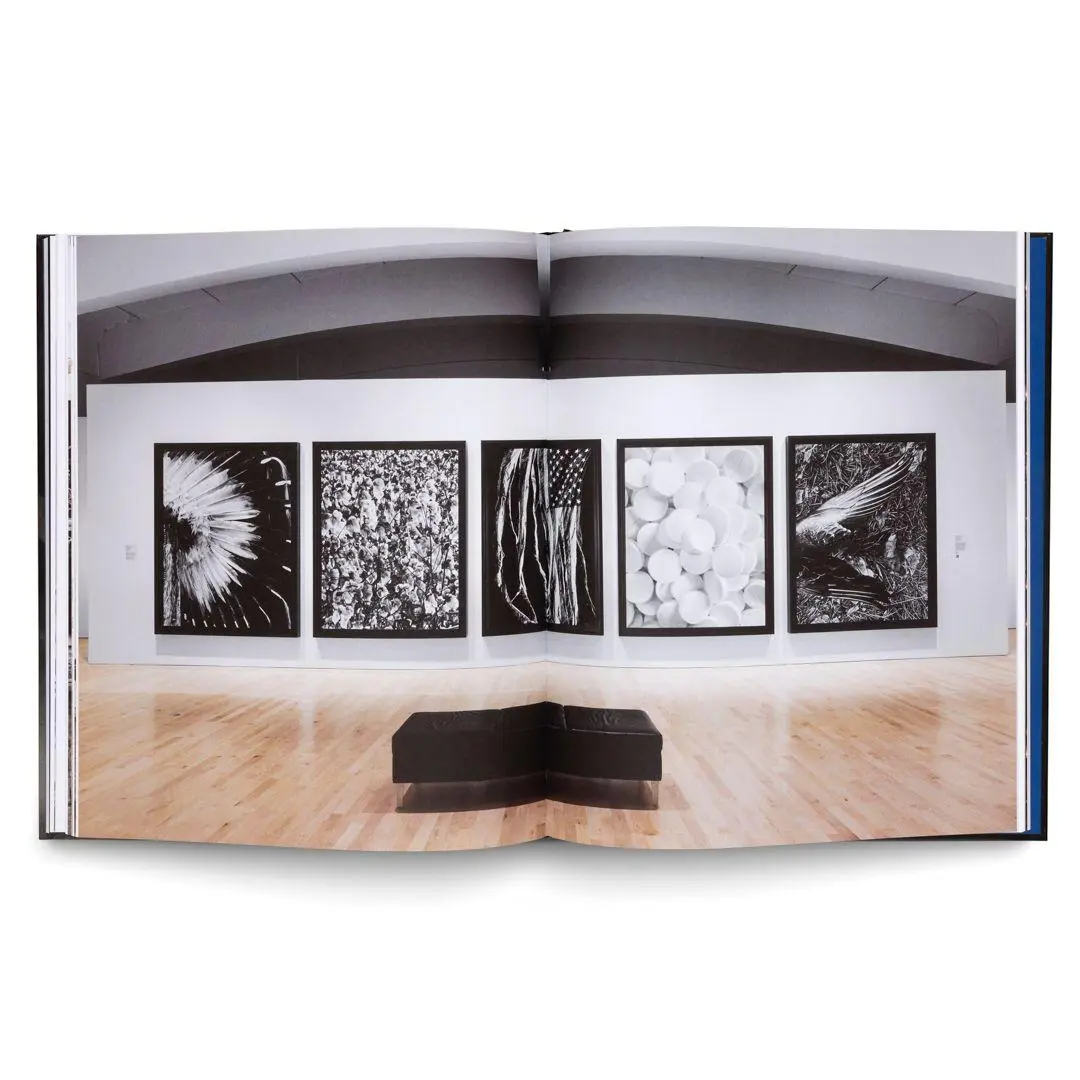 Bild: 9783775758031 | Robert Longo: The Acceleration of History | Andera | Buch | 160 S.