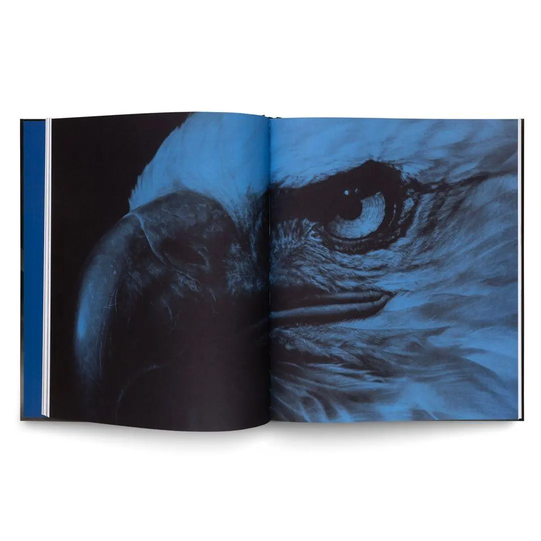 Bild: 9783775758031 | Robert Longo: The Acceleration of History | Andera | Buch | 160 S.