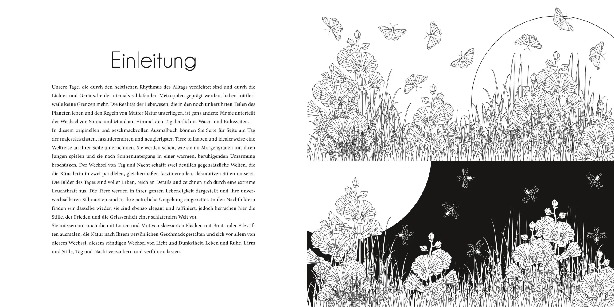 Bild: 9788863128031 | Night &amp; Day | Ausmalbuch zur kreativen Stressbewältigung  | Star White