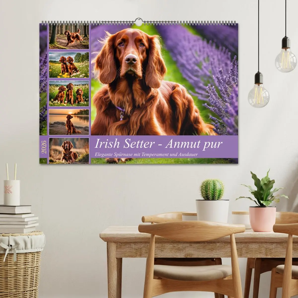 Bild: 9783457408131 | Irish Setter - Anmut pur (Wandkalender 2026 DIN A2 quer), CALVENDO...