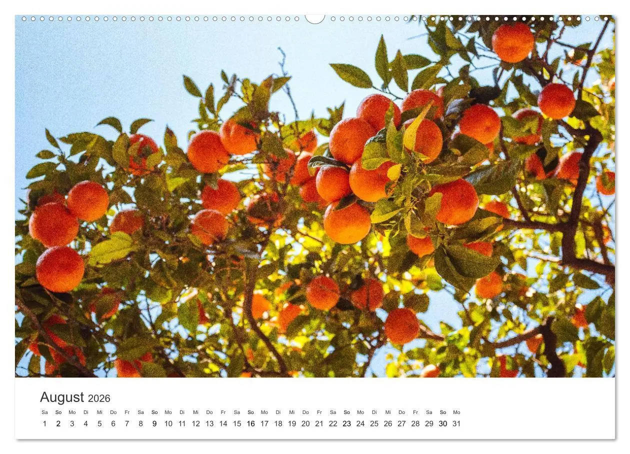 Bild: 9783457578131 | Spanien - ein Land zum Verlieben. (Wandkalender 2026 DIN A2 quer),...