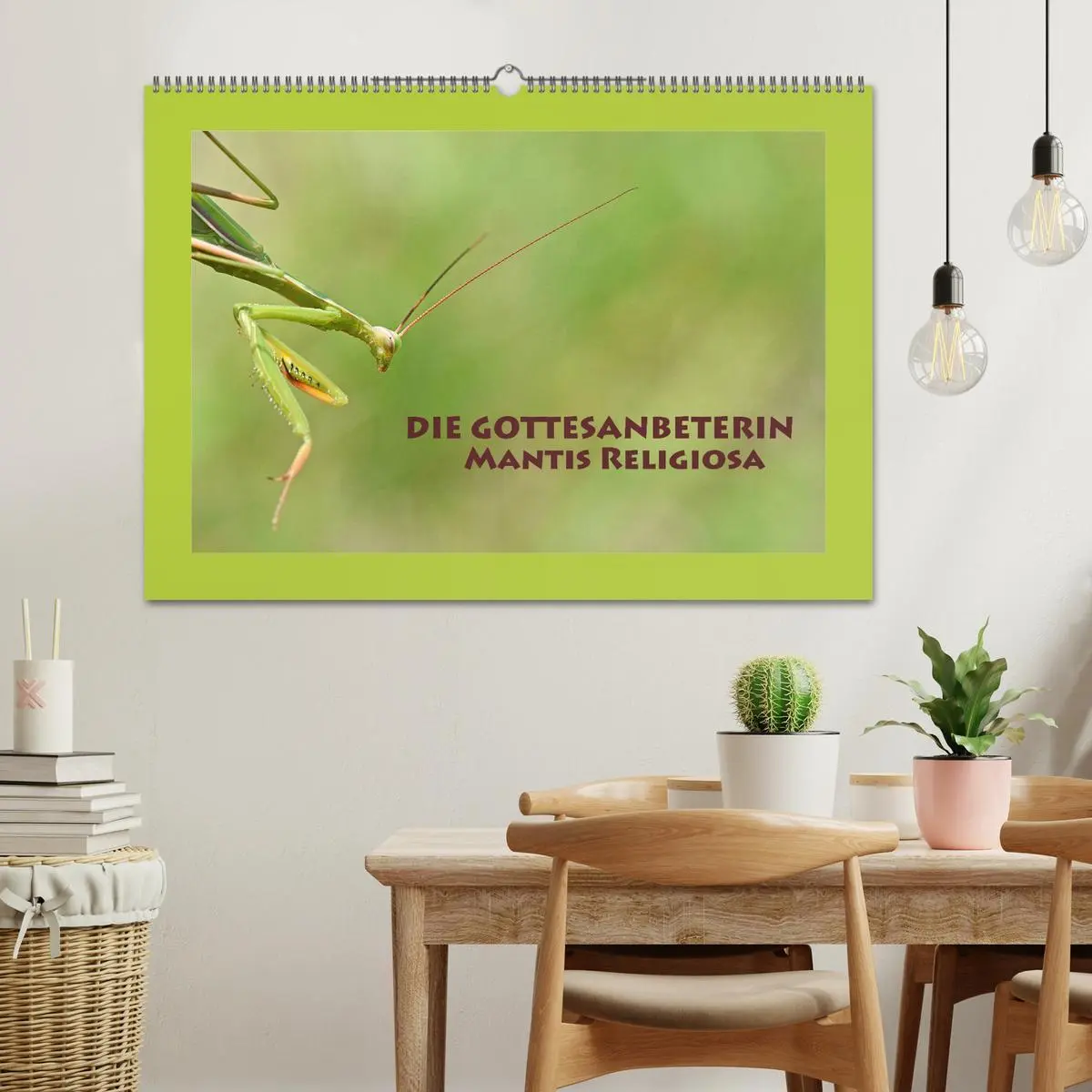 Bild: 9783457718131 | Die Gottesanbeterin Mantis Religiosa (Wandkalender 2026 DIN A2...