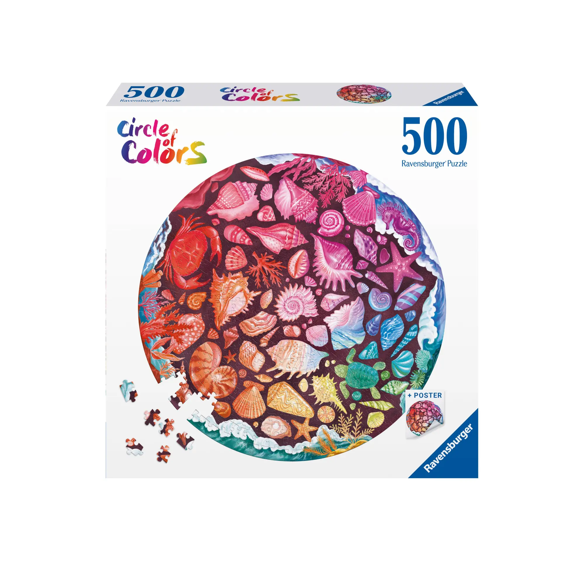 Cover: 4005555008231 | Erwachsenenpuzzle 500 Teile - Muscheln | Spiel | Circle of Colors