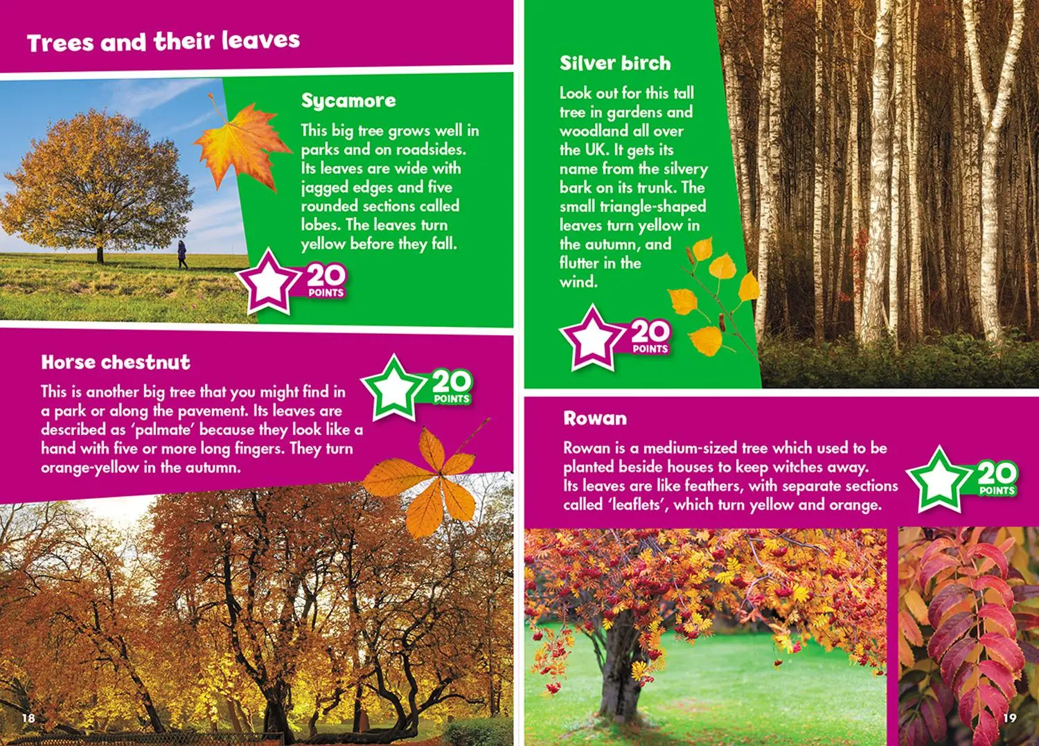 Bild: 9780008468231 | i-SPY Autumn | Spy it! Score it! | I-Spy | Taschenbuch | Englisch
