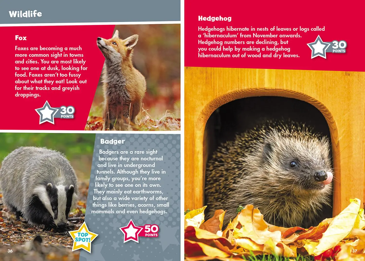 Bild: 9780008468231 | i-SPY Autumn | Spy it! Score it! | I-Spy | Taschenbuch | Englisch