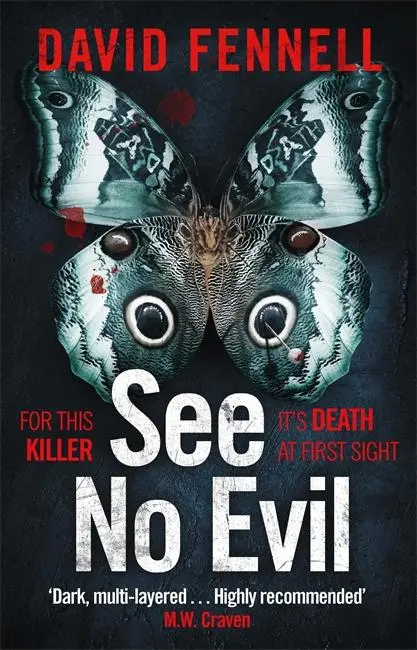 Cover: 9781838778231 | See No Evil | David Fennell | Taschenbuch | Kartoniert / Broschiert