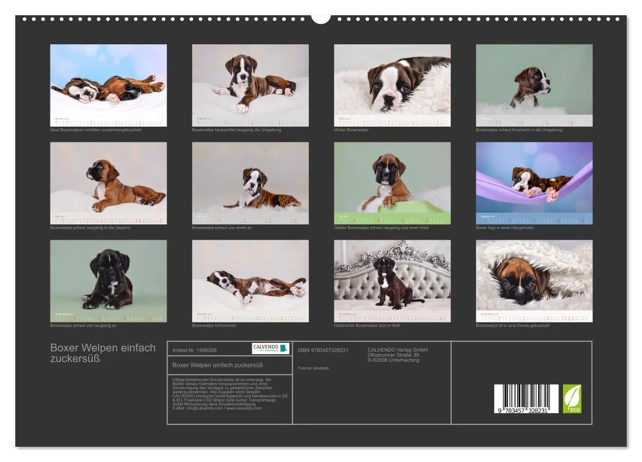 Bild: 9783457328231 | Boxer Welpen einfach zuckersüß (hochwertiger Premium Wandkalender...