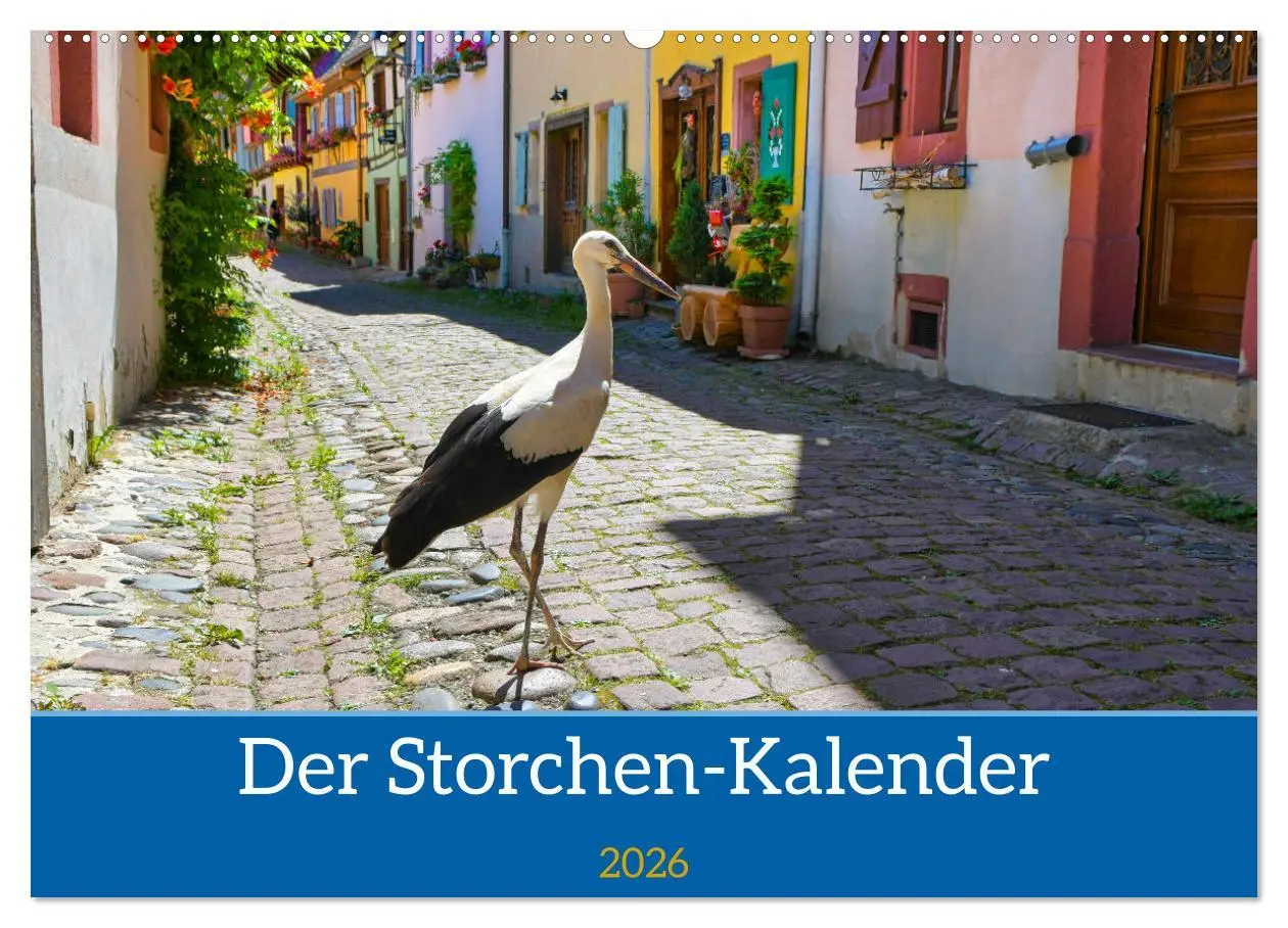 Cover: 9783457568231 | Der Storchenkalender (Wandkalender 2026 DIN A2 quer), CALVENDO...