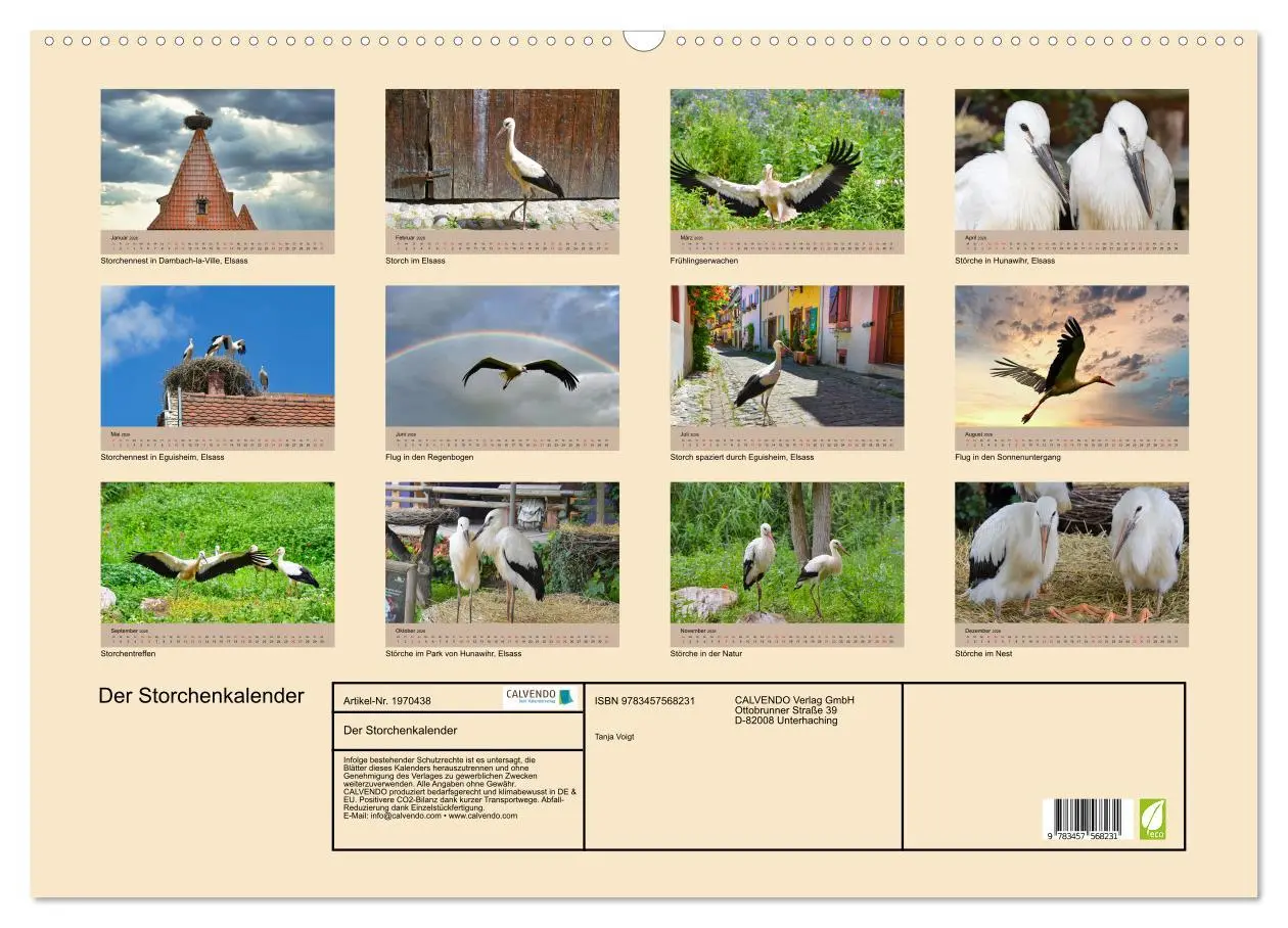 Bild: 9783457568231 | Der Storchenkalender (Wandkalender 2026 DIN A2 quer), CALVENDO...