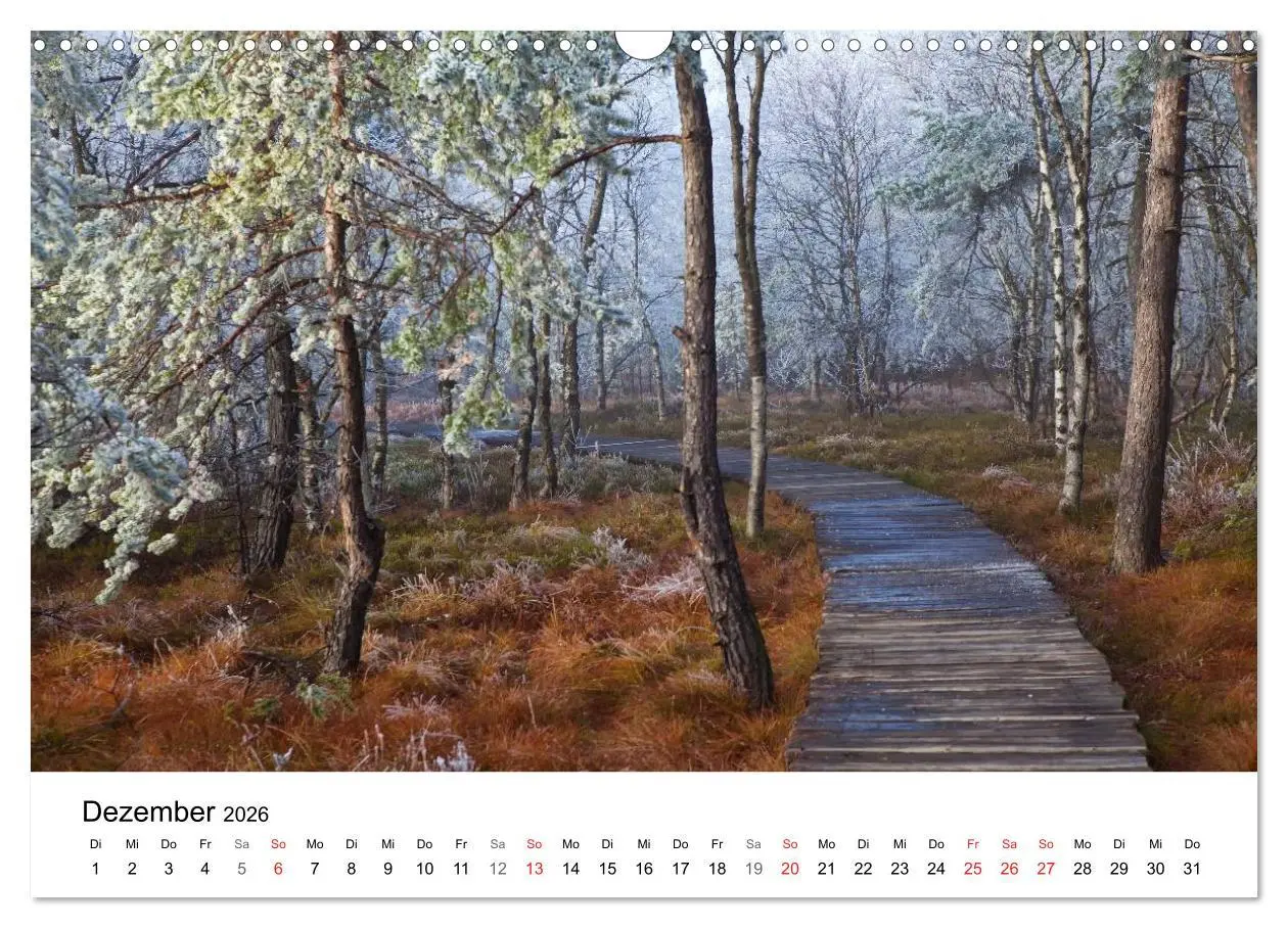 Bild: 9783457948231 | Auf neuen Wegen (Wandkalender 2026 DIN A3 quer), CALVENDO...