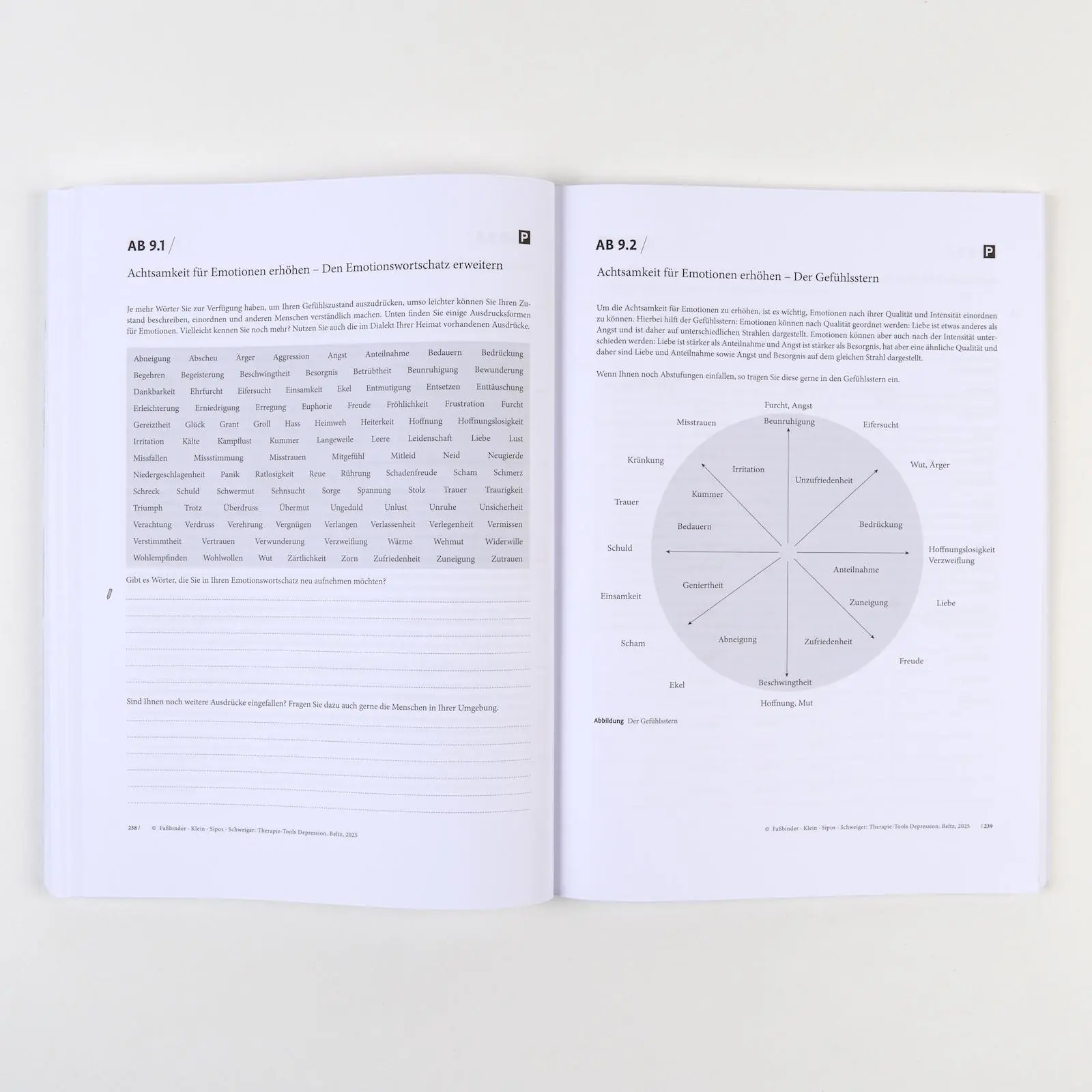 Bild: 9783621288231 | Therapie-Tools Depression | Mit Online-Material | Faßbinder (u. a.)