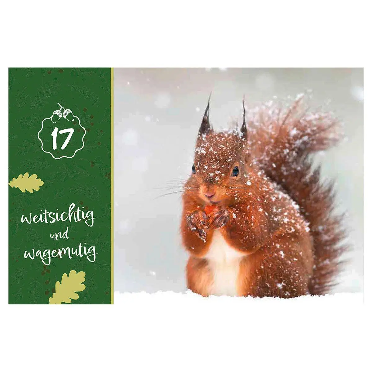 Bild: 9783746268231 | Entdeckungen im Winterwald | Ein Adventskalender | Darius Götsch