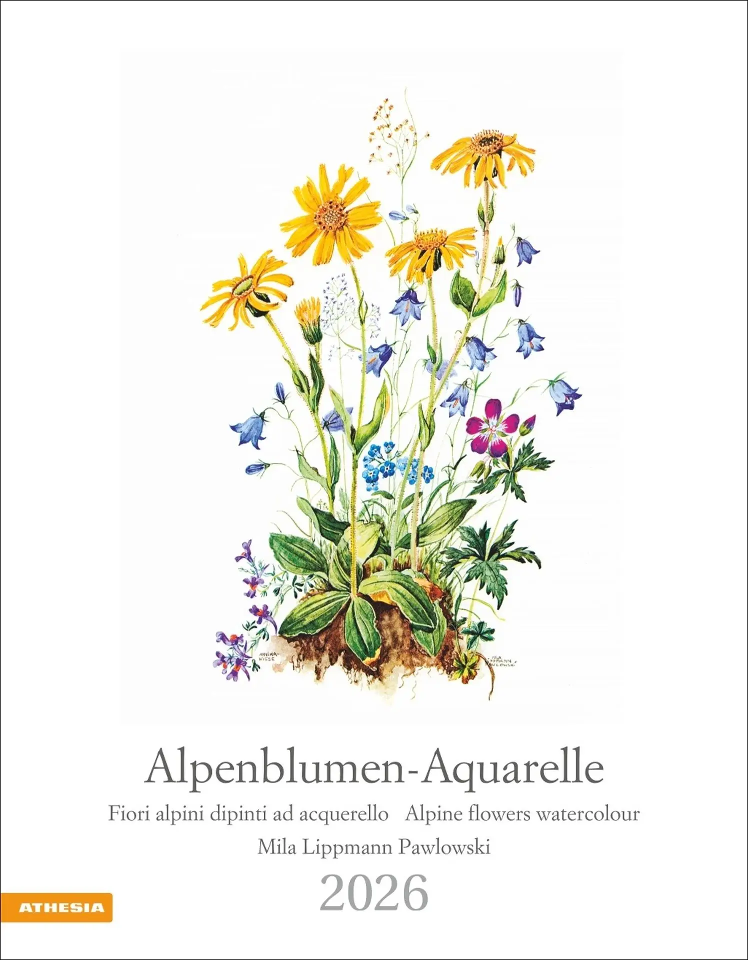 Cover: 9788868398231 | Alpenblumen-Aquarelle Kalender 2026 | Mila Lippmann-Pawlowski | 14 S.