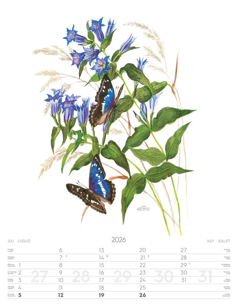 Bild: 9788868398231 | Alpenblumen-Aquarelle Kalender 2026 | Athesia-Tappeiner Verlag | 14 S.