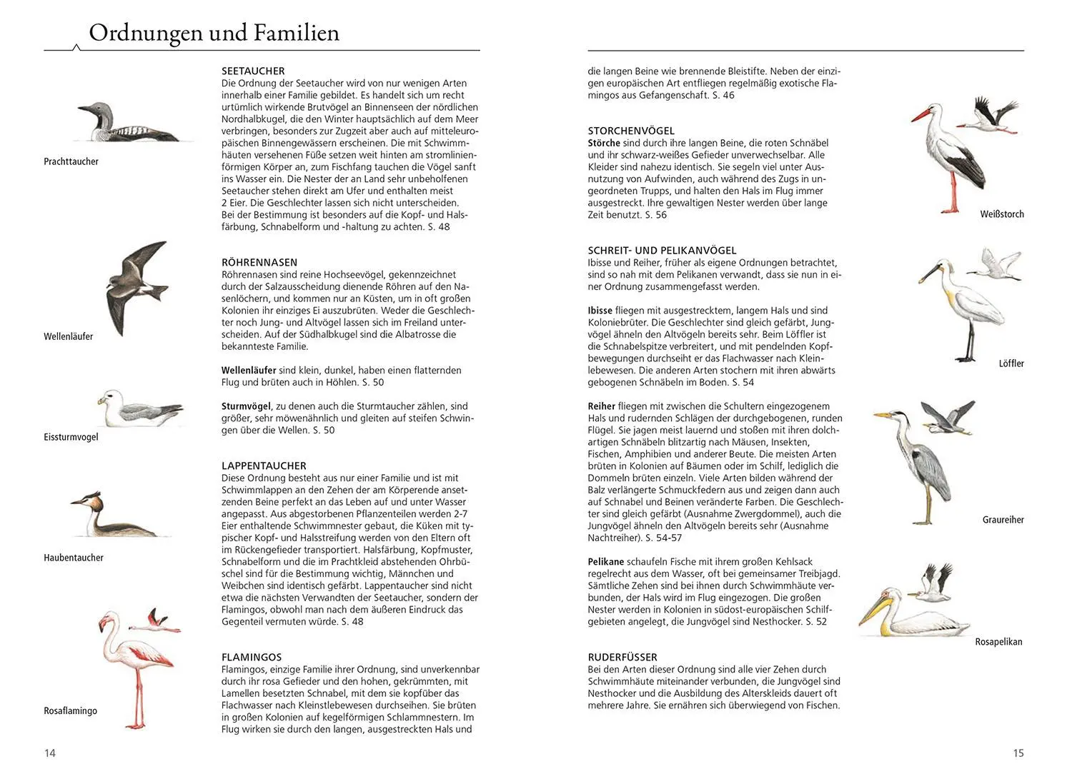 Bild: 9783440178331 | Was fliegt denn da? Das Original | Peter H. Barthel (u. a.) | Buch