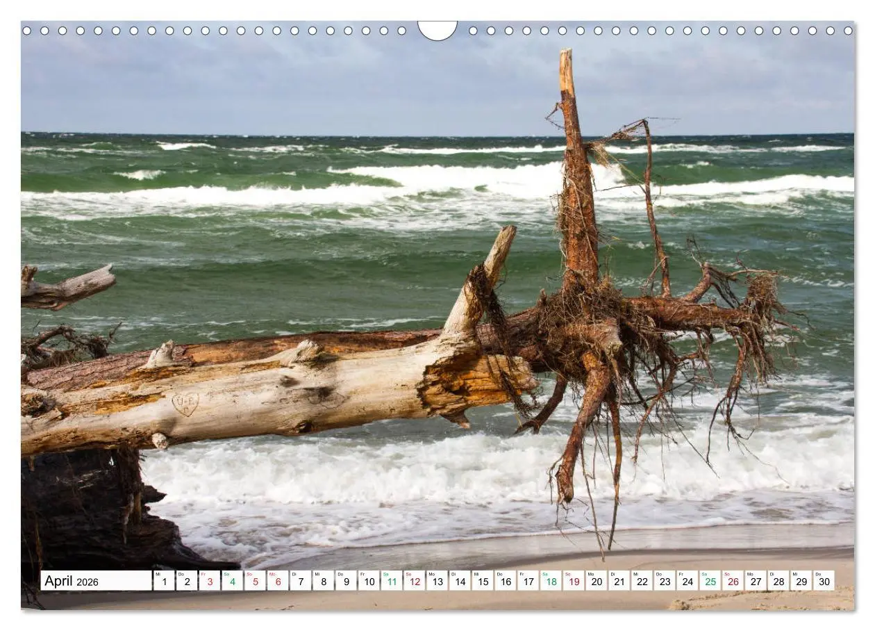 Bild: 9783457248331 | Darßer Weststrand - Fischland Darß Zingst (Wandkalender 2026 DIN A3...