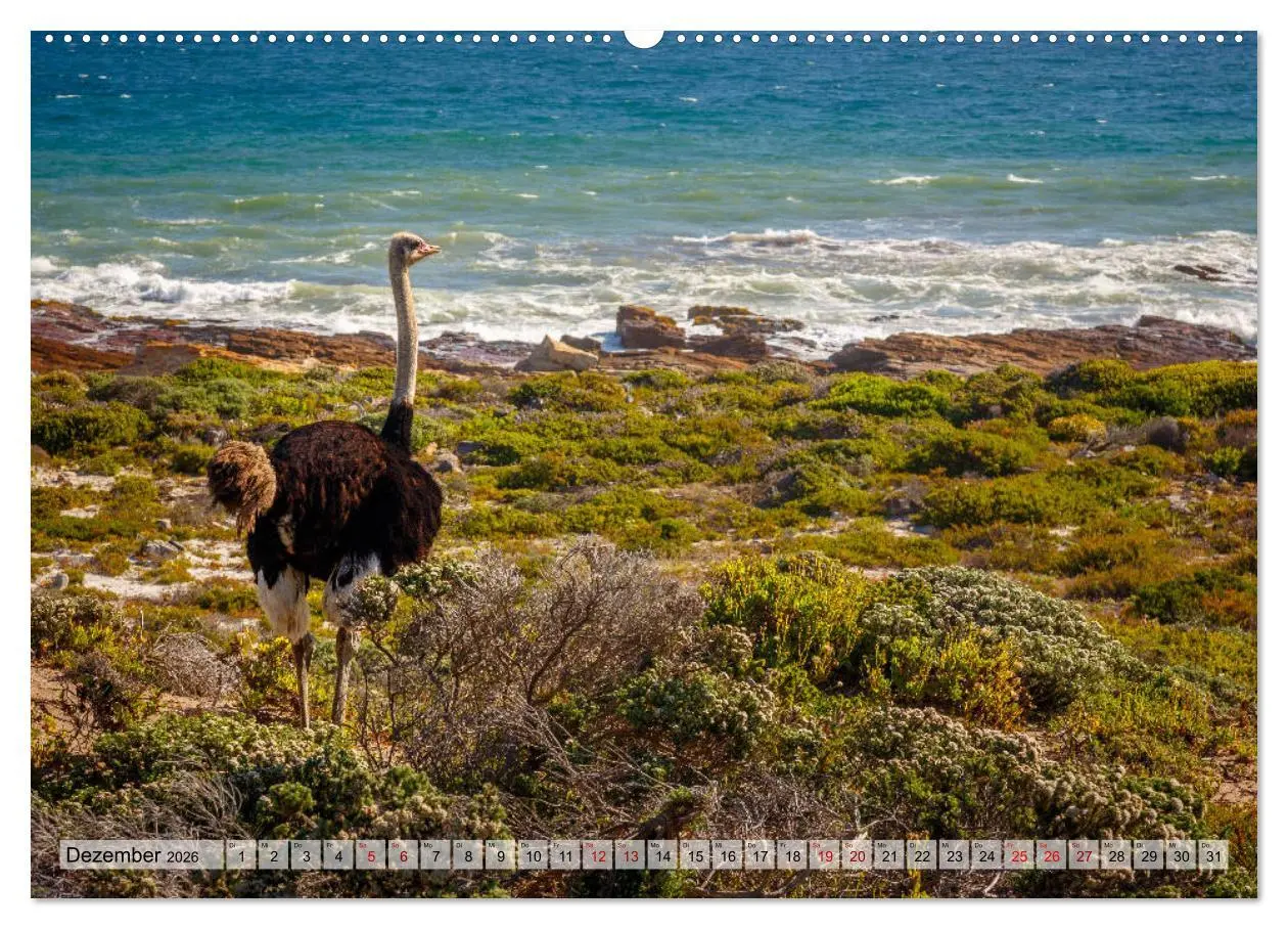 Bild: 9783457868331 | Südafrika: Kapstadt, Garden Route und Cape Winelands (Wandkalender...