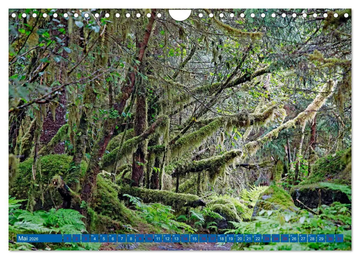 Bild: 9783457308431 | Von Vancouver nach Alaska (Wandkalender 2026 DIN A4 quer), CALVENDO...