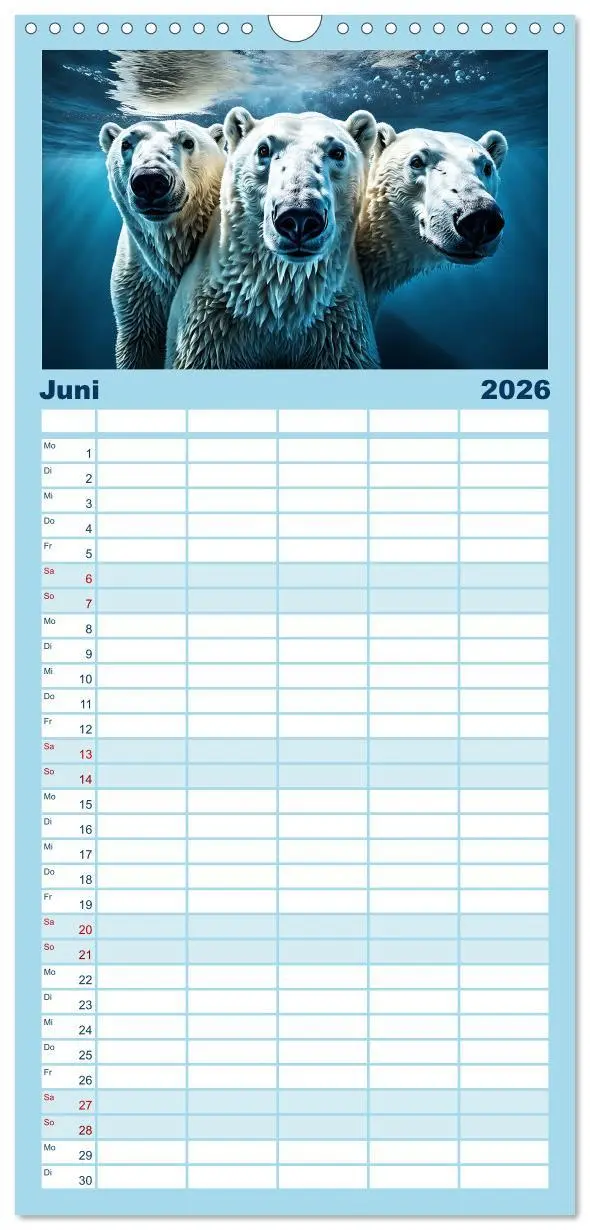 Bild: 9783516498431 | Familienplaner 2026 - Im magischen Land der Eisbären mit 5 Spalten...