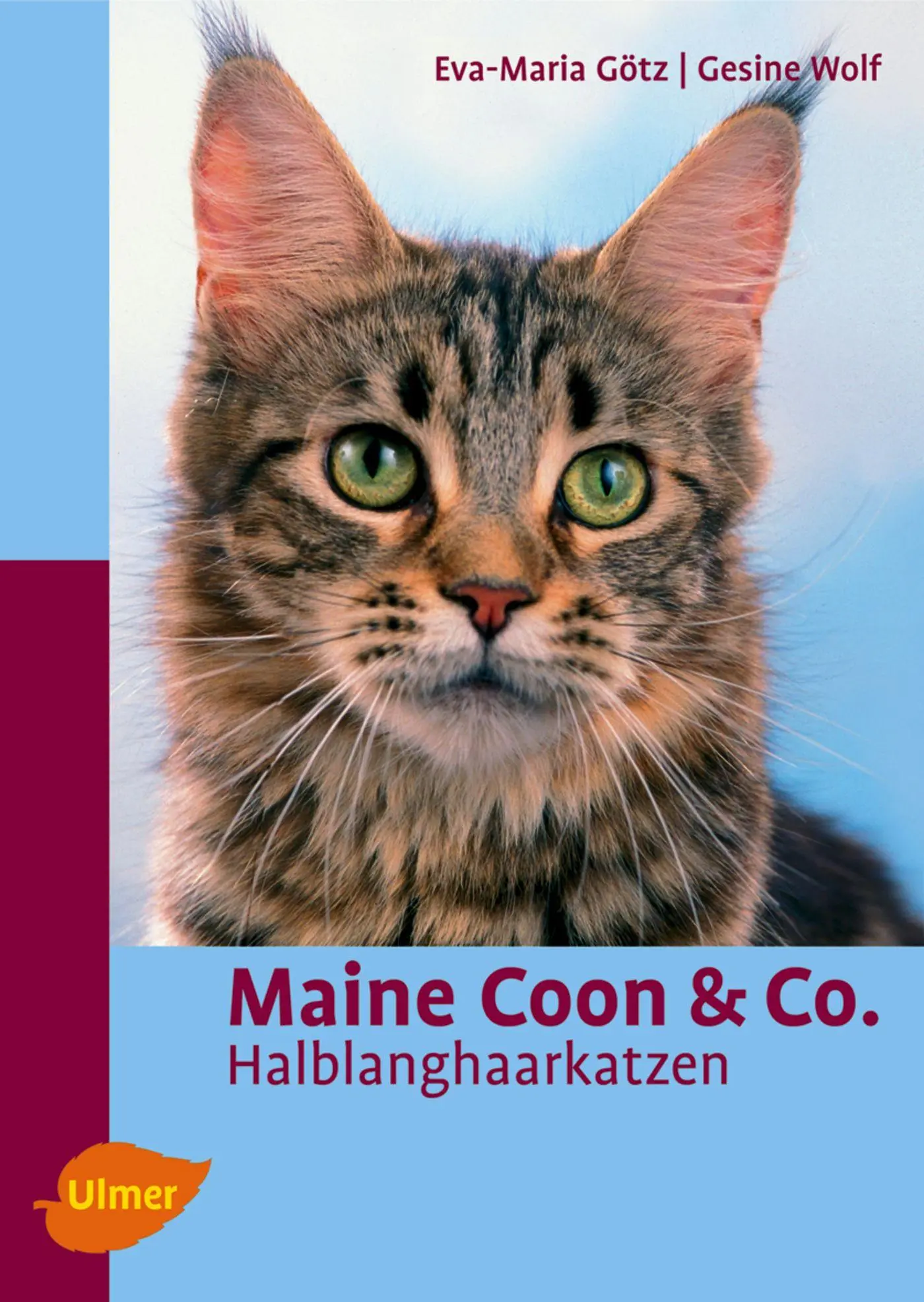 Cover: 9783800148431 | Maine Coon &amp; Co | Halblanghaarkatzen | Eva M. Götz (u. a.) | Buch