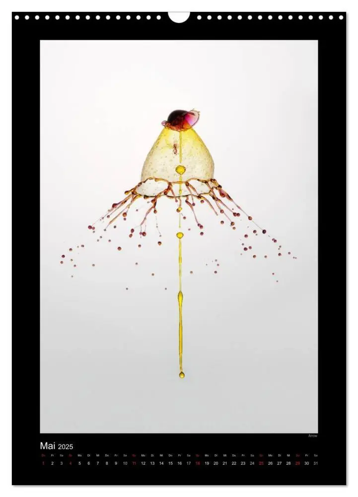 Bild: 9783457088531 | Liquid Art - Wassertropfen in Perfektion (Wandkalender 2025 DIN A3...