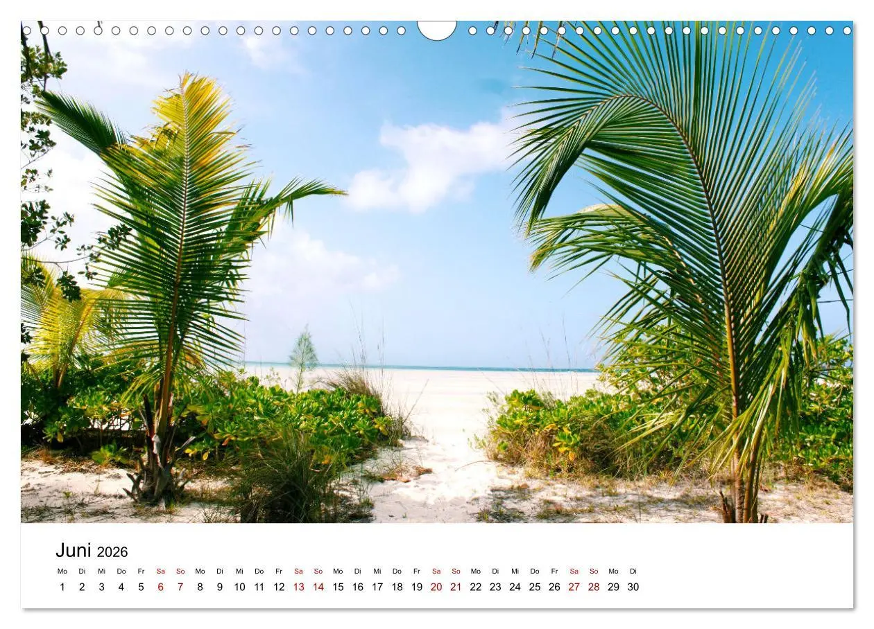 Bild: 9783457608531 | Bahamas - Paradiesische Strände. (Wandkalender 2026 DIN A3 quer),...