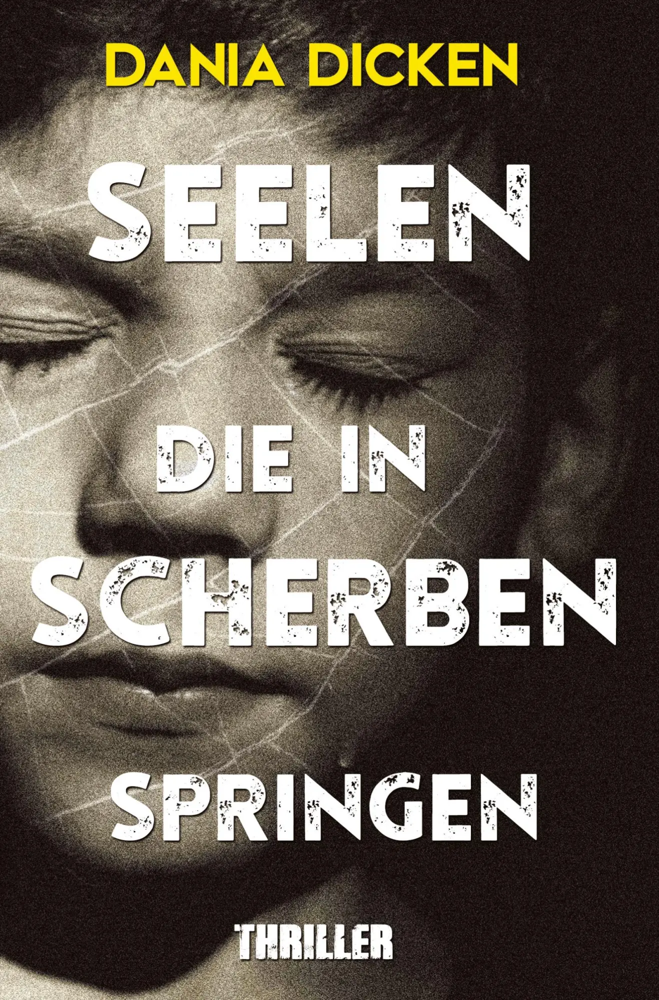 Cover: 9783759278531 | Seelen, die in Scherben springen | Dania Dicken | Taschenbuch | 324 S.