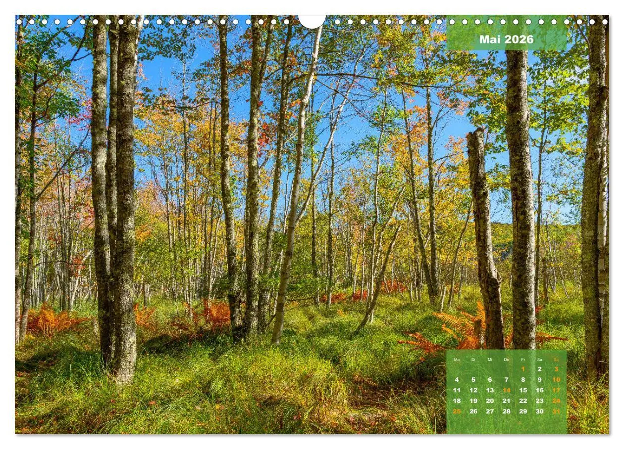 Bild: 9783457838631 | New England - Vielfalt einer Region (Wandkalender 2026 DIN A3...