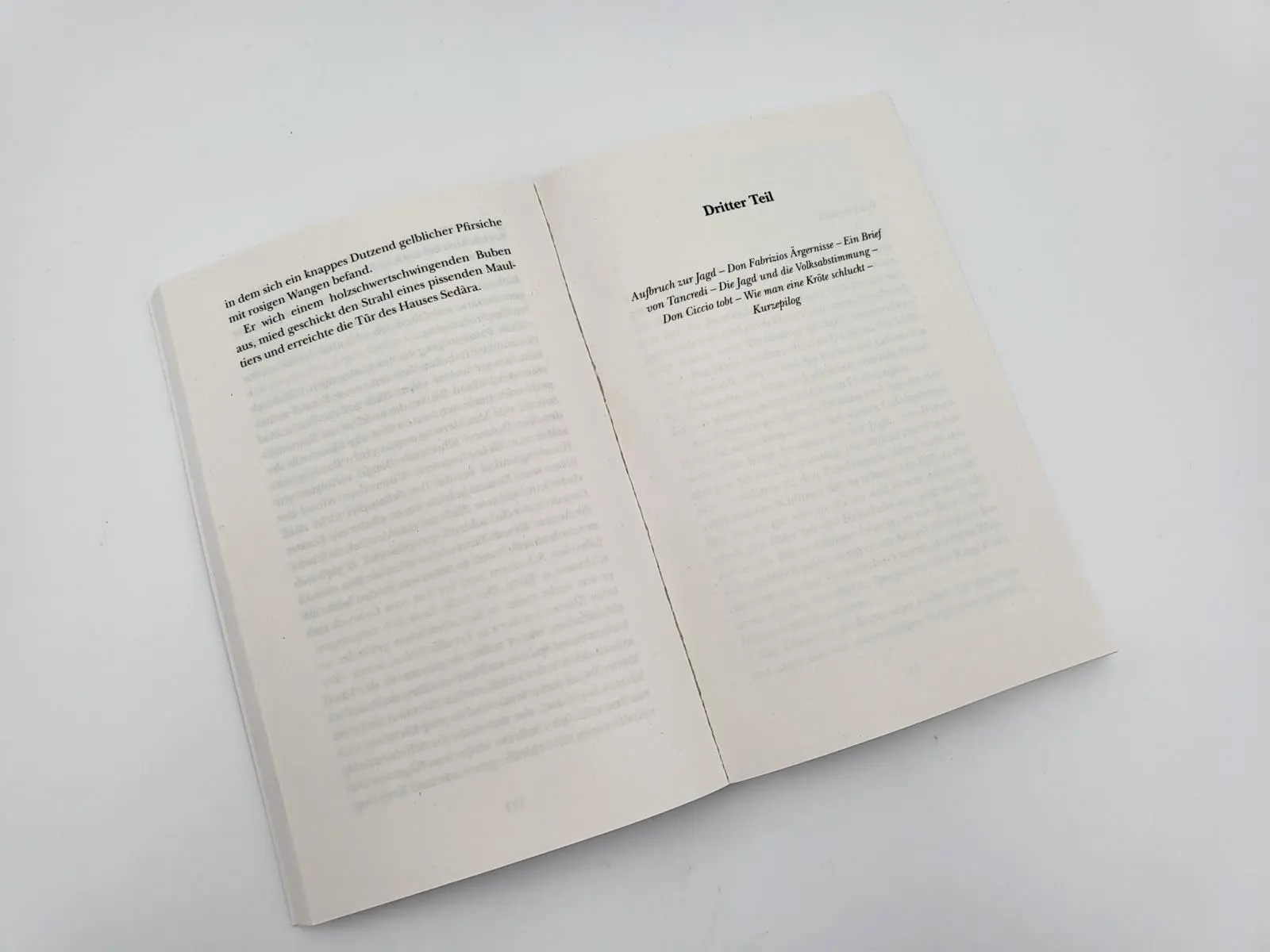 Bild: 9783492318631 | Der Leopard | Roman Ein Klassiker der italienischen Literatur | Buch