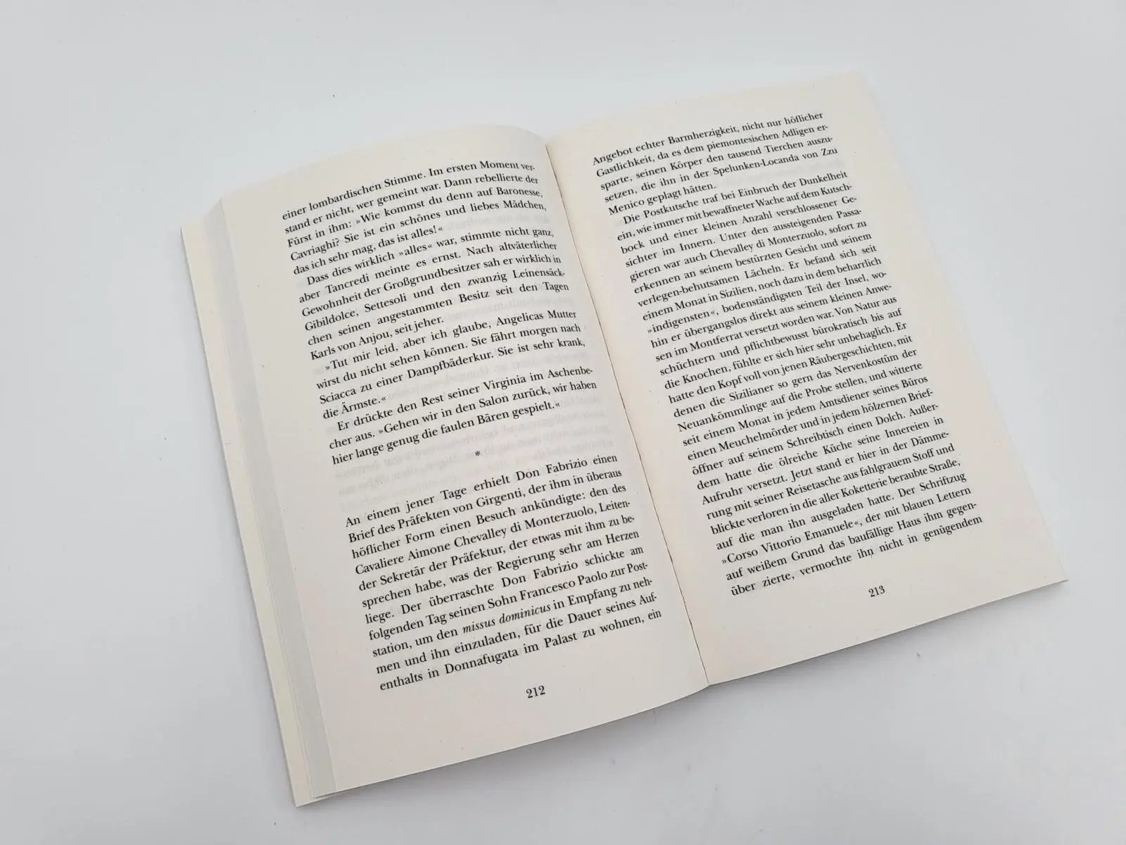 Bild: 9783492318631 | Der Leopard | Roman Ein Klassiker der italienischen Literatur | Buch