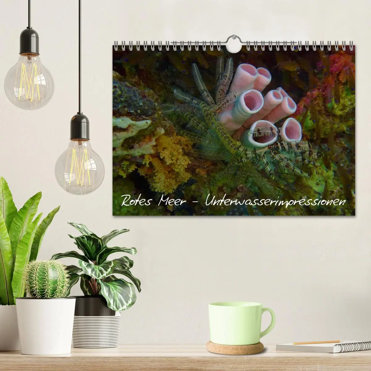 Bild: 9783516168631 | Rotes Meer - Unterwasserimpressionen (Wandkalender 2026 DIN A4...