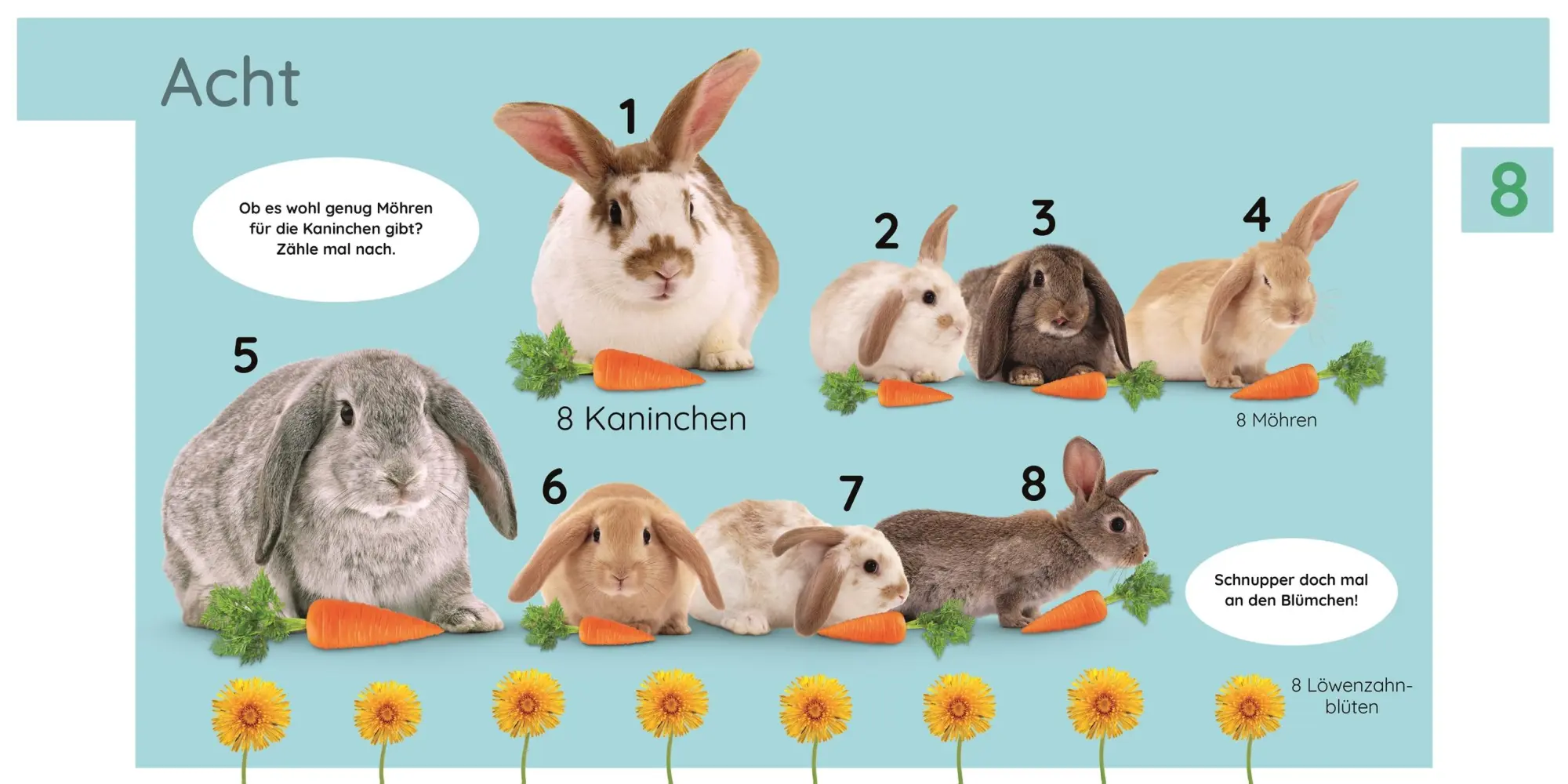 Bild: 9783831048731 | Erstes Lernen. Zahlen | DK Verlag - Kids | Buch | Erstes Lernen | 2024