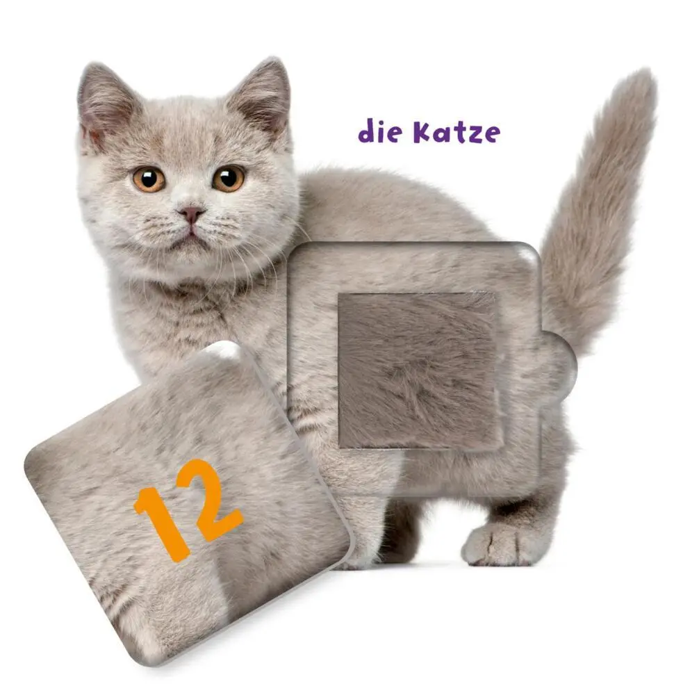 Bild: 4014489118831 | Mein Streichel-Adventskalender | Mit Fühlelementen | Kalender | 2 S.