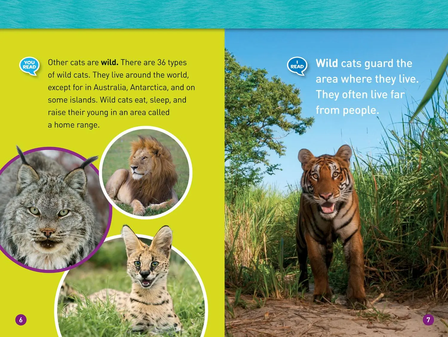 Bild: 9781426328831 | Cats (National Geographic Kids Readers, Level 1/Co-Reader) | Galat