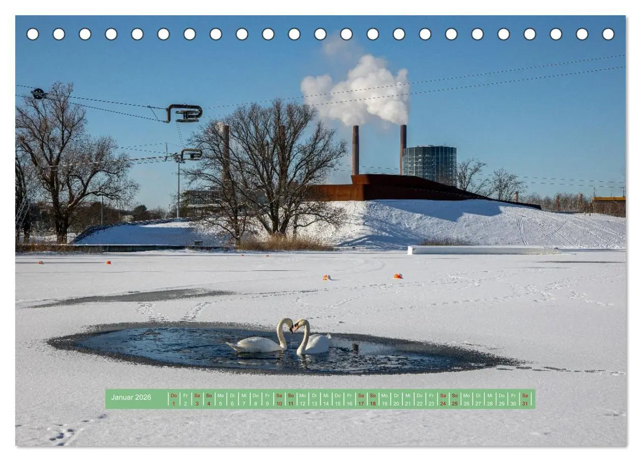 Bild: 9783457298831 | Wolfsburg - einfach tierisch (Tischkalender 2026 DIN A5 quer),...