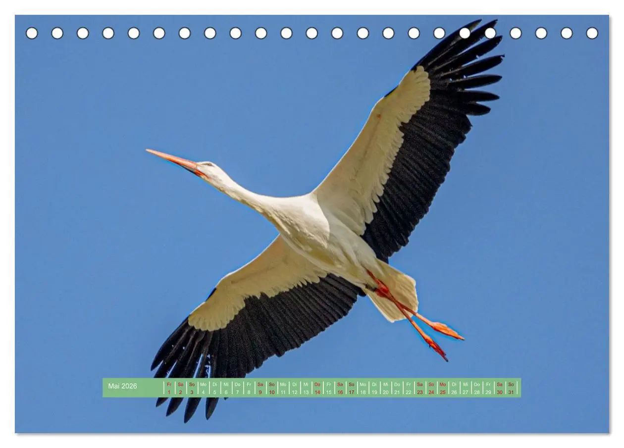 Bild: 9783457298831 | Wolfsburg - einfach tierisch (Tischkalender 2026 DIN A5 quer),...