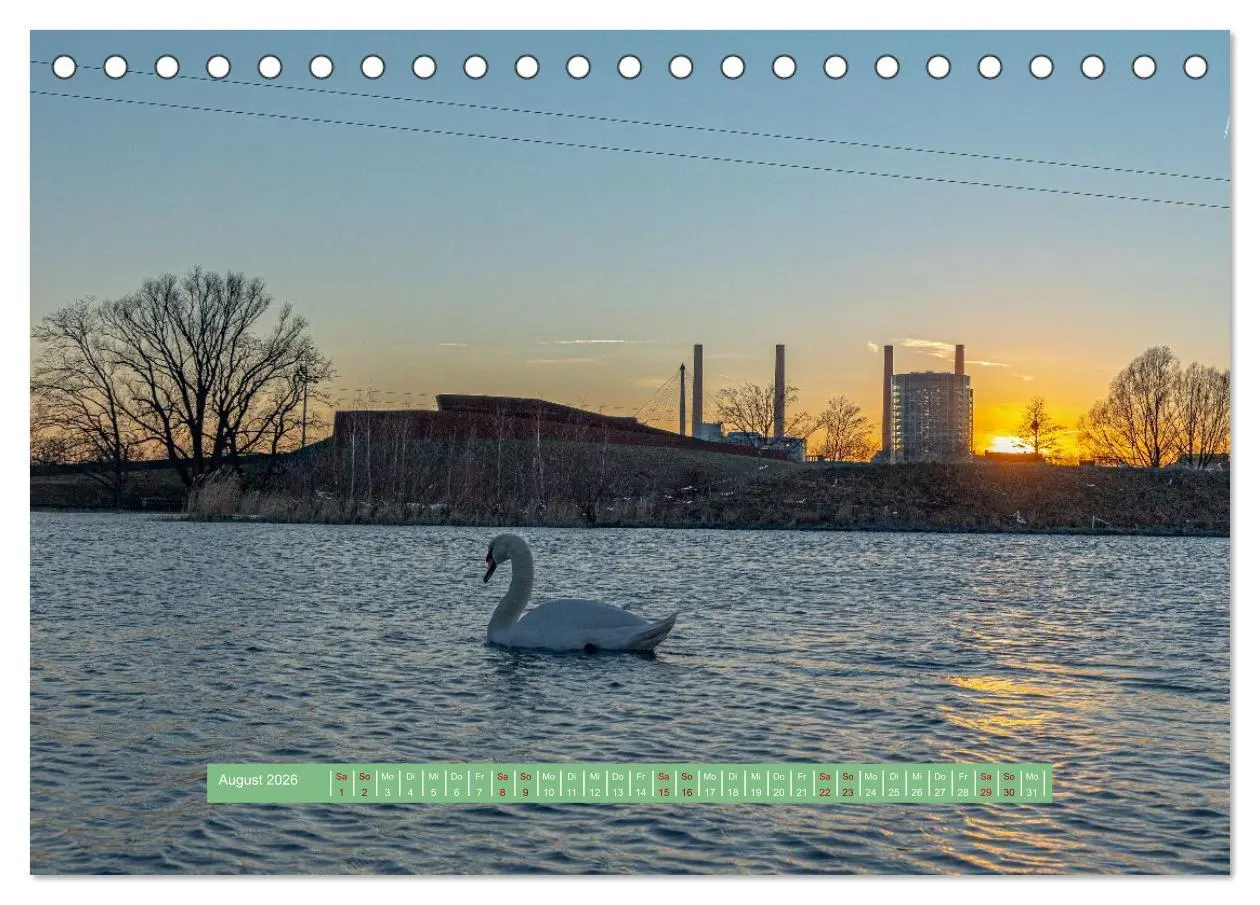 Bild: 9783457298831 | Wolfsburg - einfach tierisch (Tischkalender 2026 DIN A5 quer),...