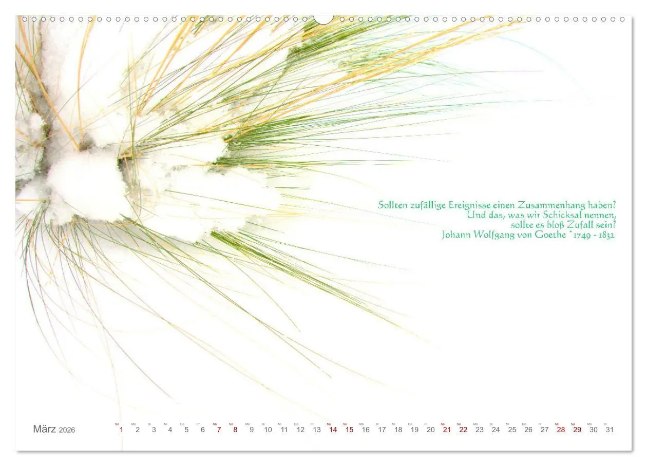 Bild: 9783457438831 | Über den Zufall - Nachdenk-Kalender (hochwertiger Premium...