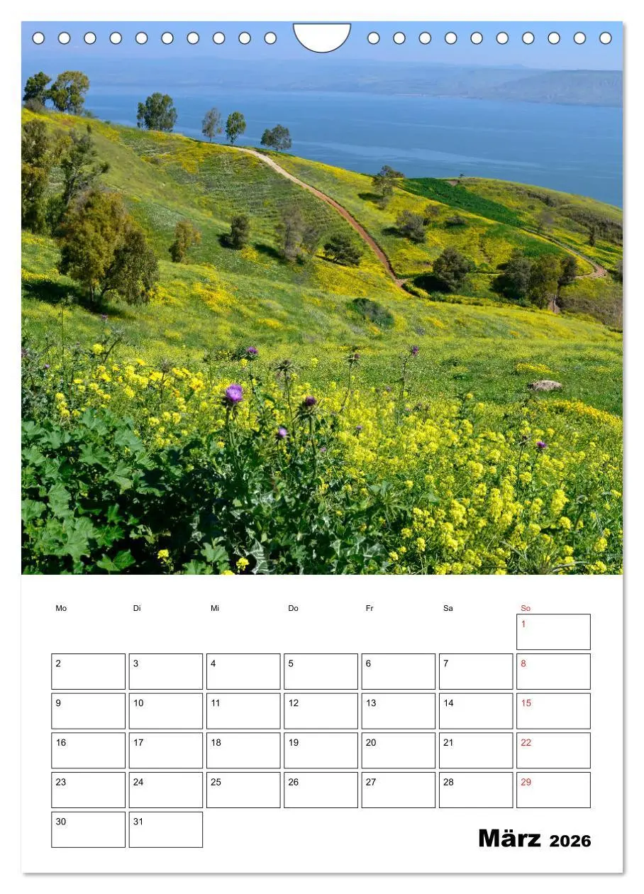 Bild: 9783516388831 | Israel - Der Monatsplaner 2026 (Wandkalender 2026 DIN A4 hoch),...